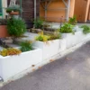 Pflanztröge aus Beton stehen schön bepflanzt als Abgrenzung zur Straße vor einem Privaten Haus.