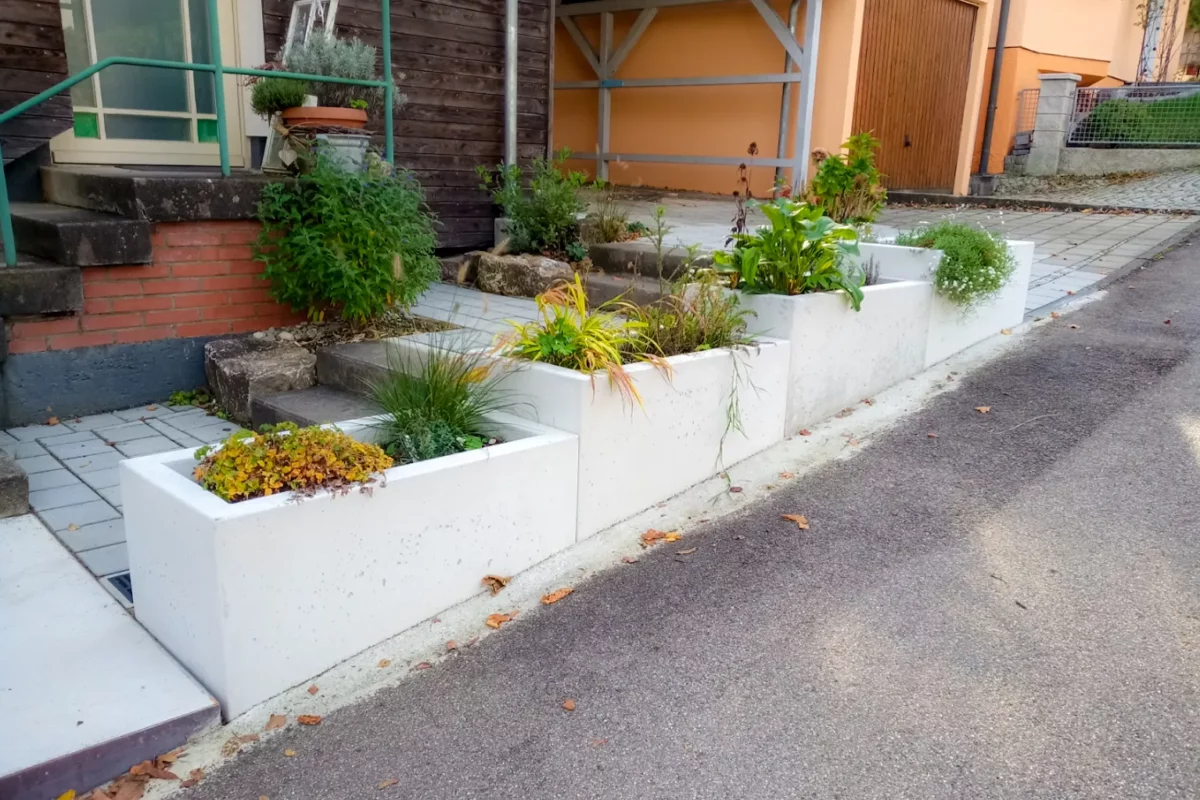 Pflanztröge aus Beton stehen schön bepflanzt als Abgrenzung zur Straße vor einem Privaten Haus.