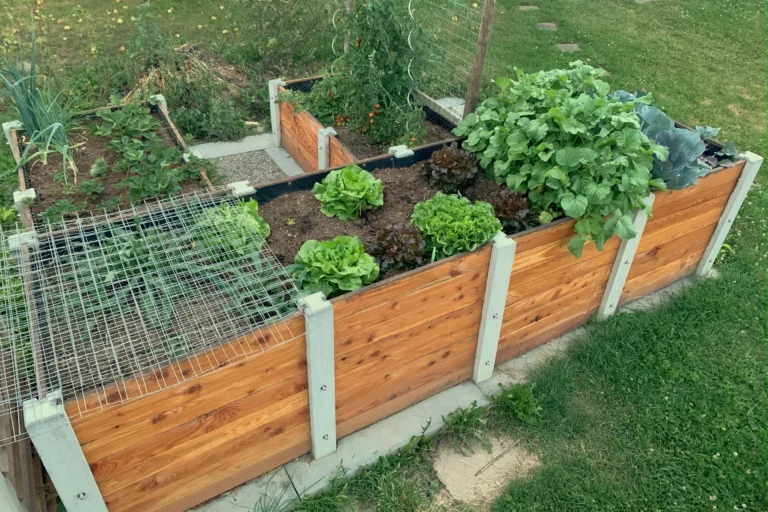 Bepflanztes Hochbeet über Ecke aus Lärchenholz und Beton steht in einem privaten Garten mit viel Grün