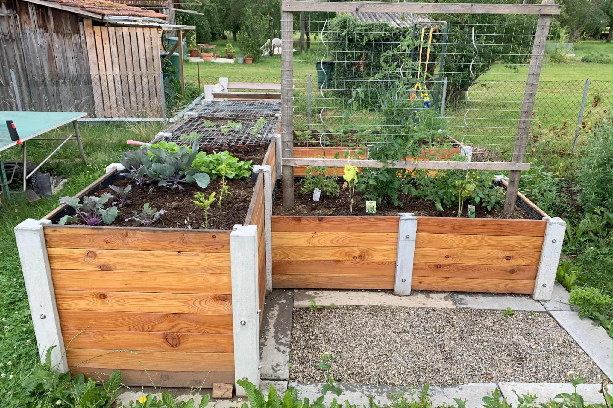Bepflanztes Hochbeet über Ecke aus Lärchenholz und Beton steht in einem privaten Garten mit viel Grün